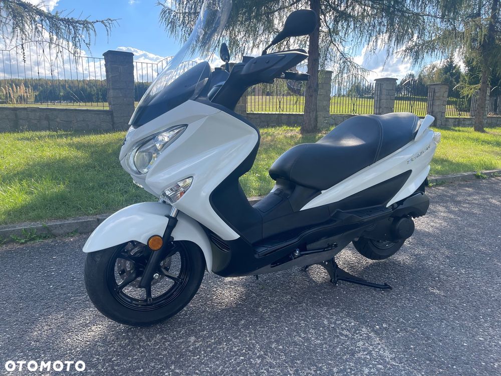Suzuki Burgman - 15