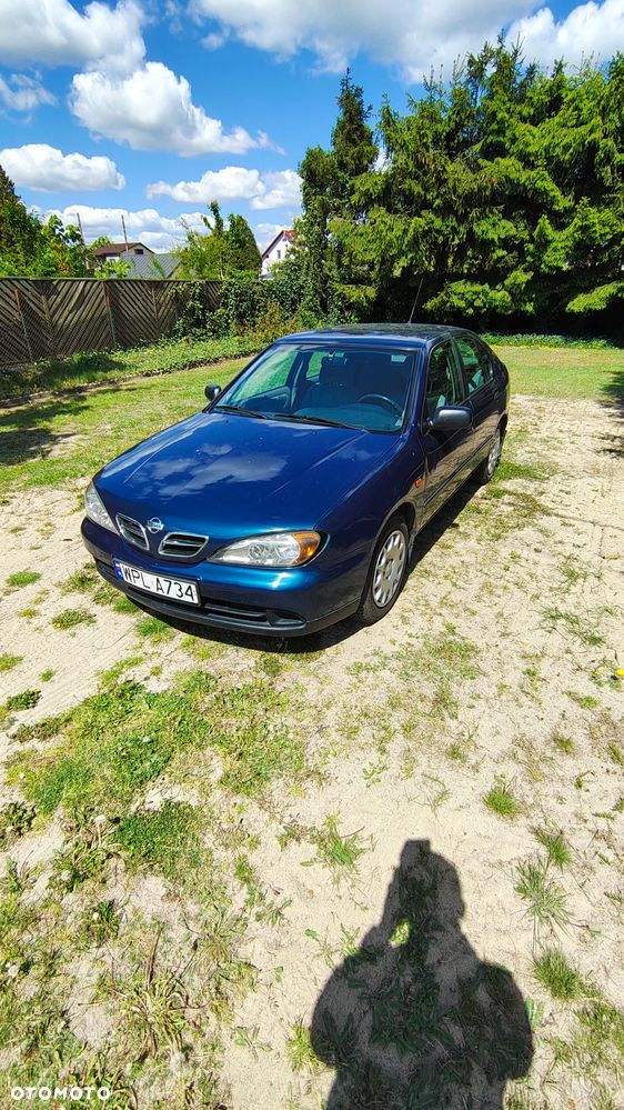 Nissan Primera - 1