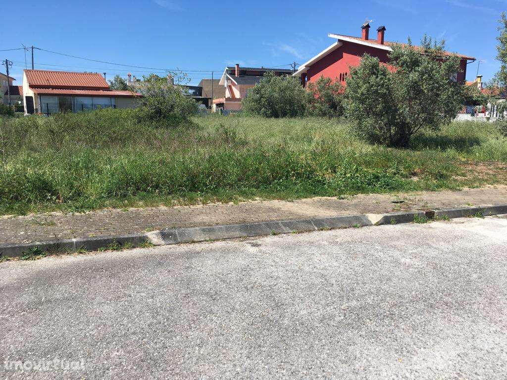 Lote de Terreno em São Martinho do Bispo - Grande imagem: 2/3