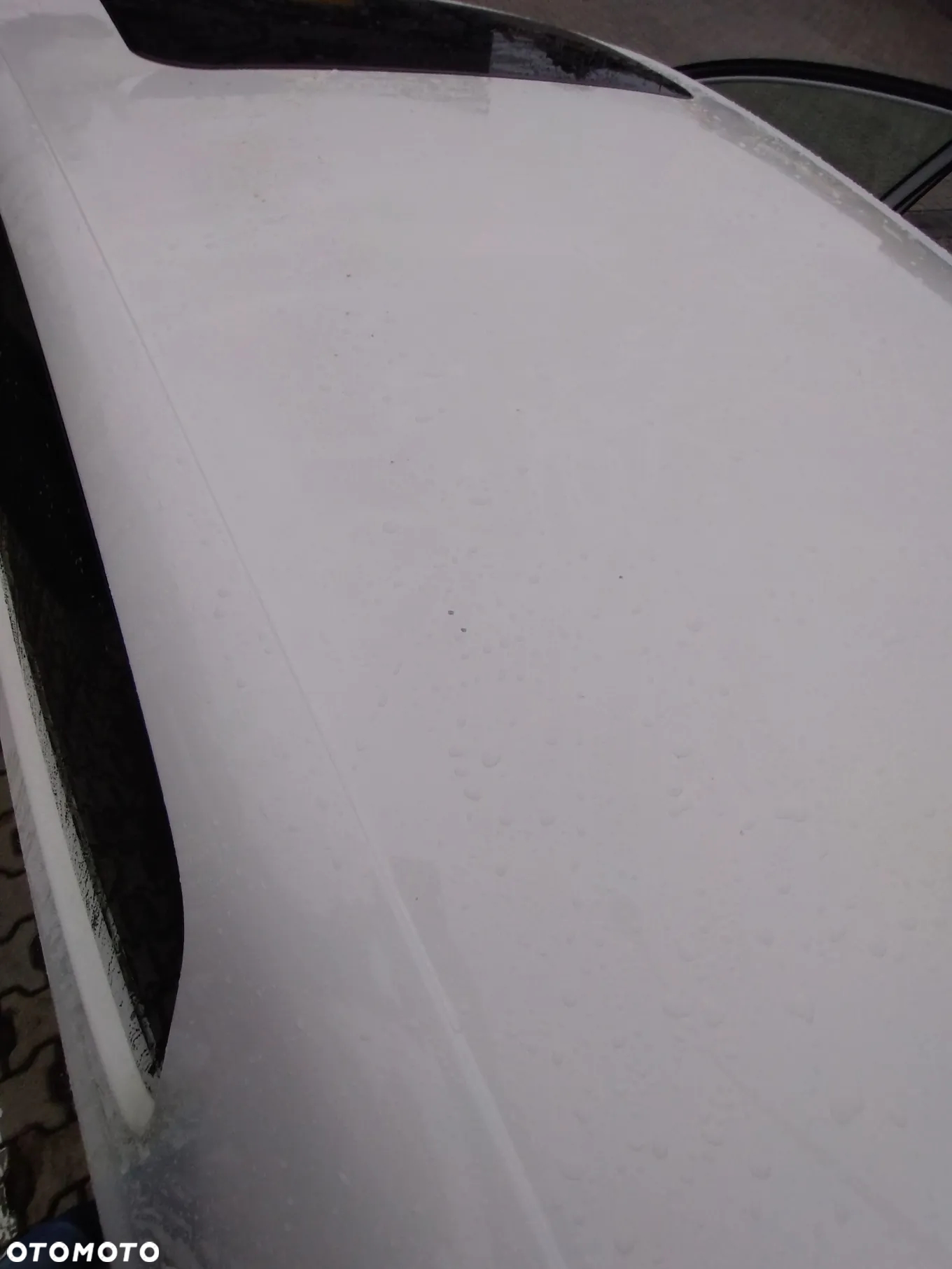 Volkswagen Golf - 17