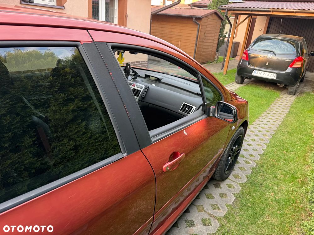 Peugeot 307 - 6