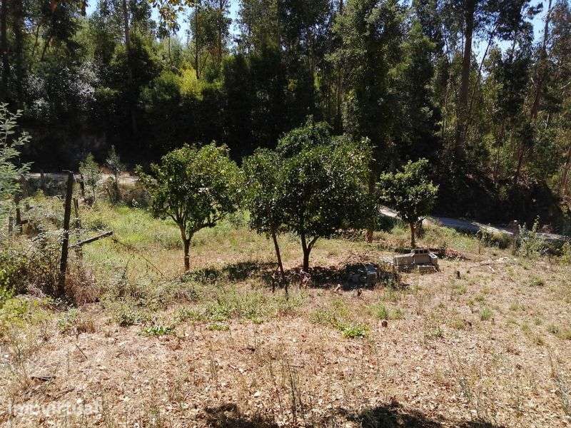 Terreno em santa marinha do zezere - Grande imagem: 4/9