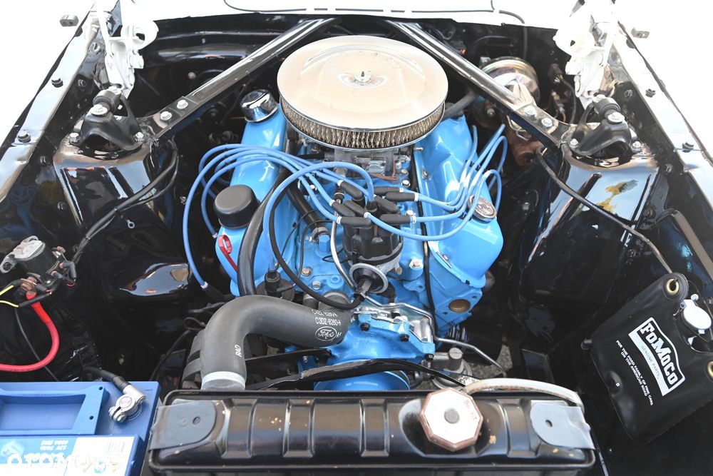 Ford Mustang - 29