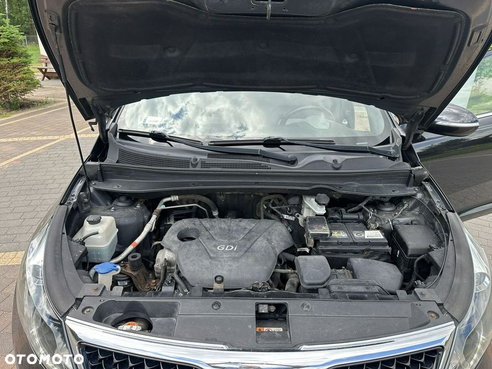 Kia Sportage - 29