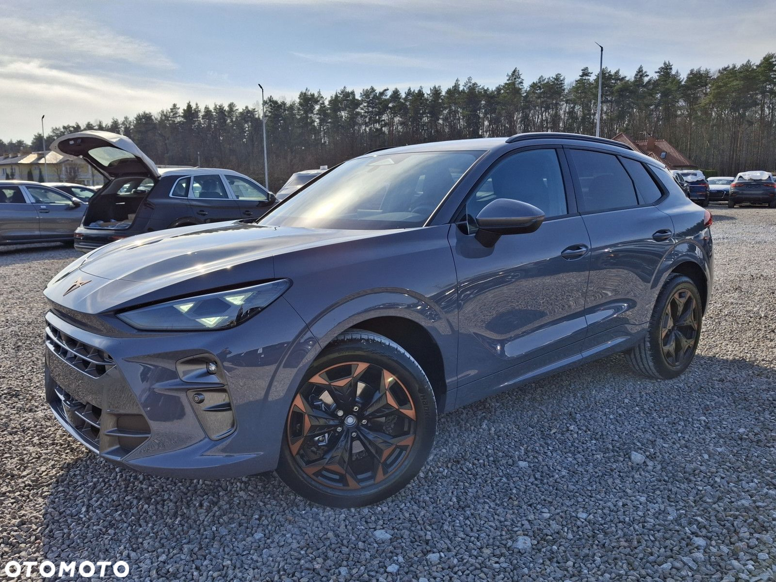 Cupra Terramar - 2