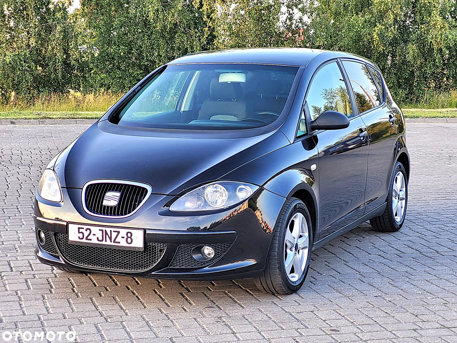 Seat Altea - 10