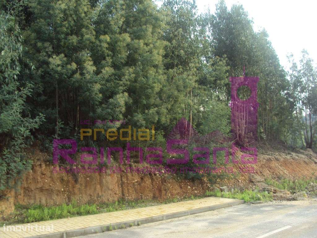 Lote p/ construção - São Martinho do Bispo - Coimbra - Grande imagem: 2/2