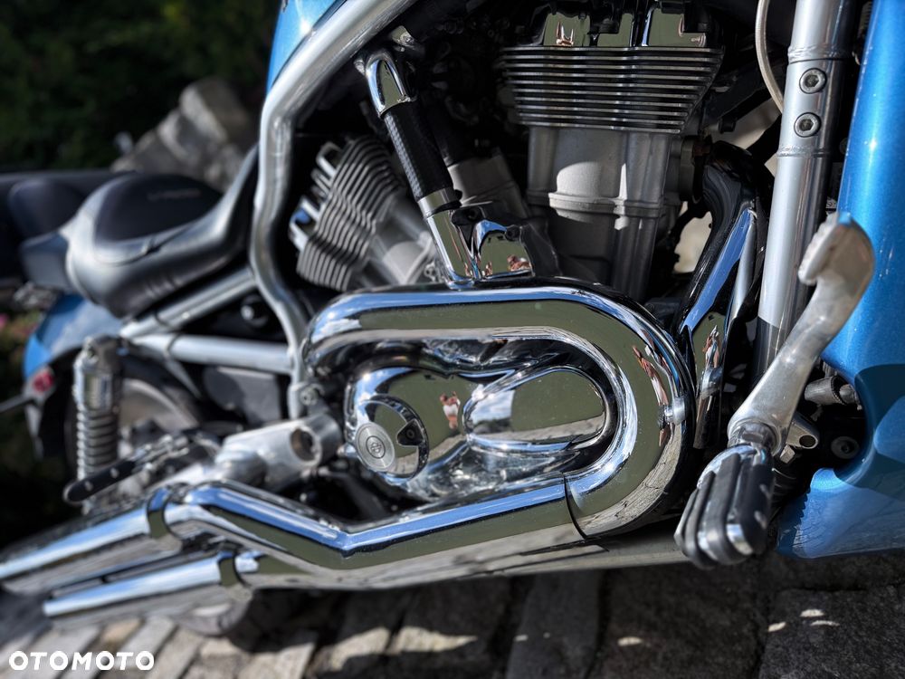 Harley-Davidson V-Rod Street Rod - 6