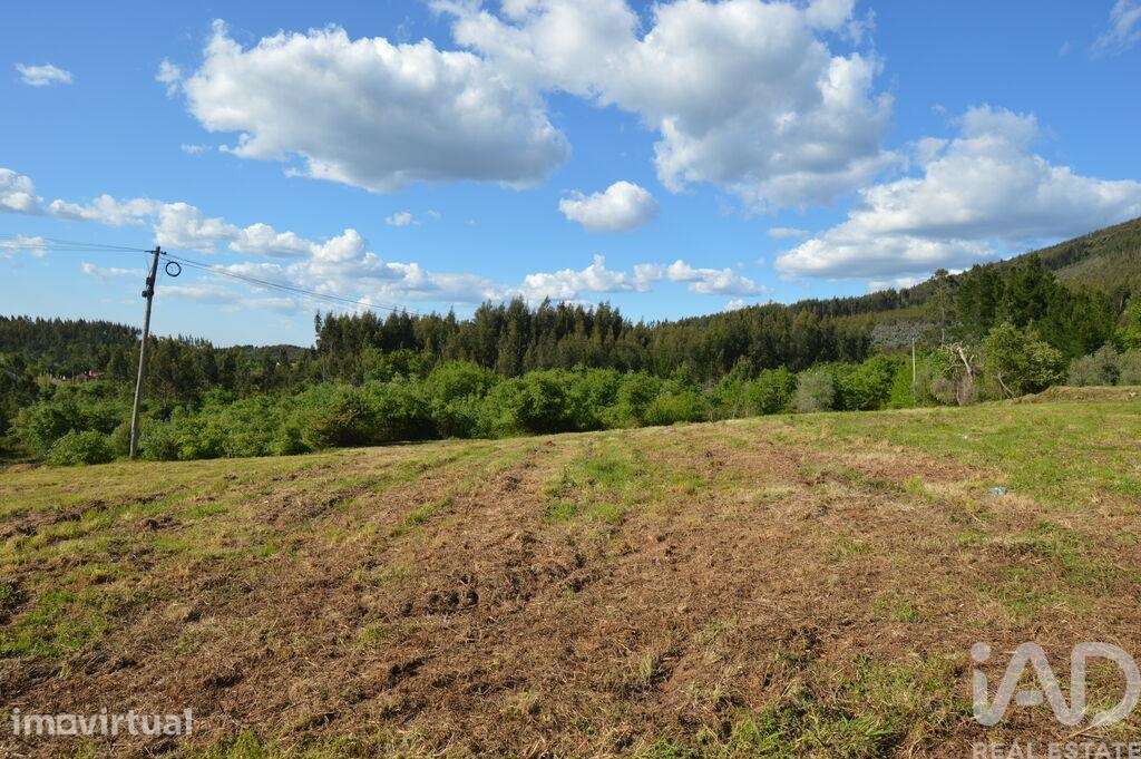 Terreno para construção em São Miguel, Santa Eufémia e Rabaçal - Grande imagem: 5/13