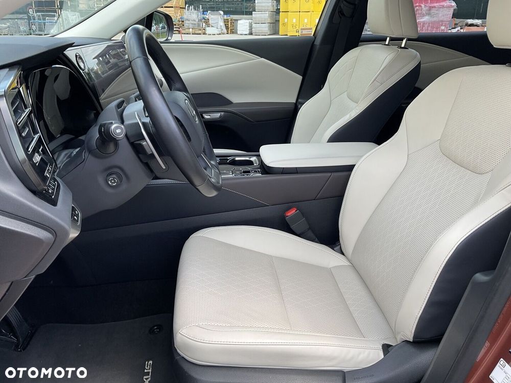 Lexus RX - 13