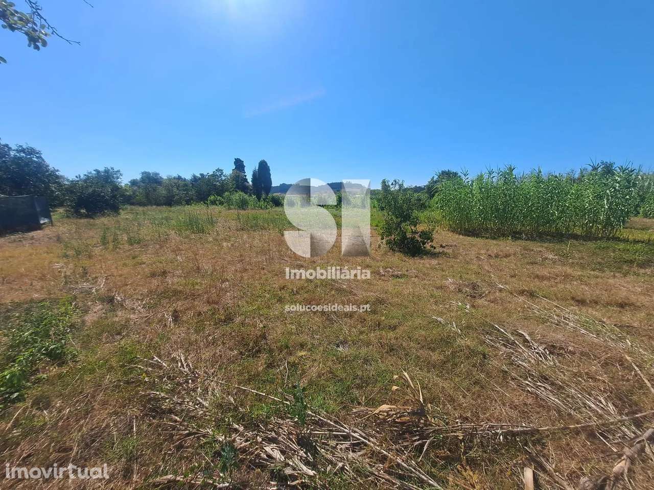 Terreno em Anadia - Grande imagem: 2/12