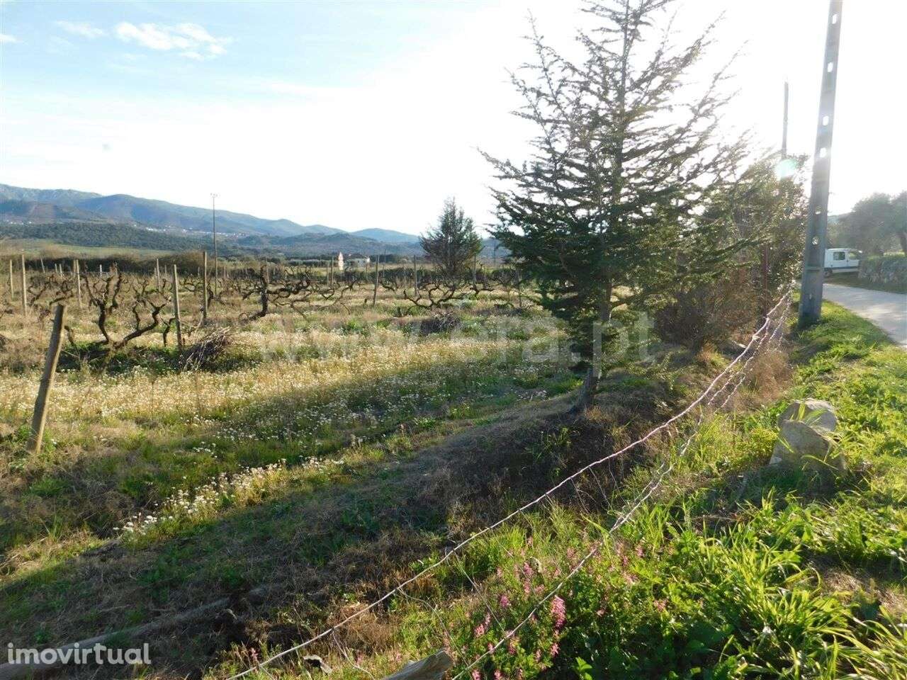 Terreno / Fundão, Telhado - Grande imagem: 5/9
