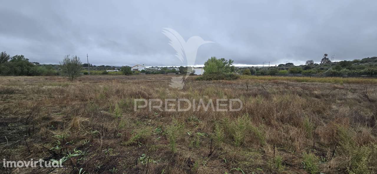 Terreno Rústico em Portalegre - Grande imagem: 3/6