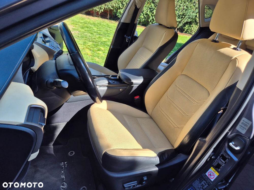 Lexus NX 300h Business Edition AWD - 12