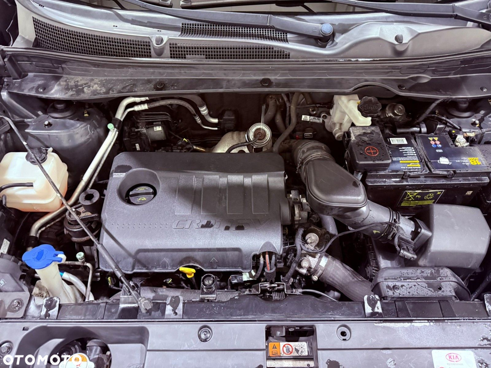 Kia Sportage - 37
