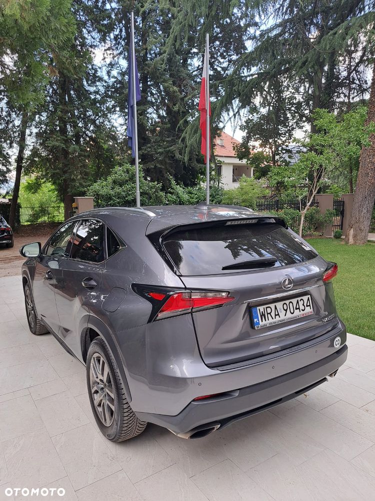 Lexus NX 200t Comfort AWD - 7