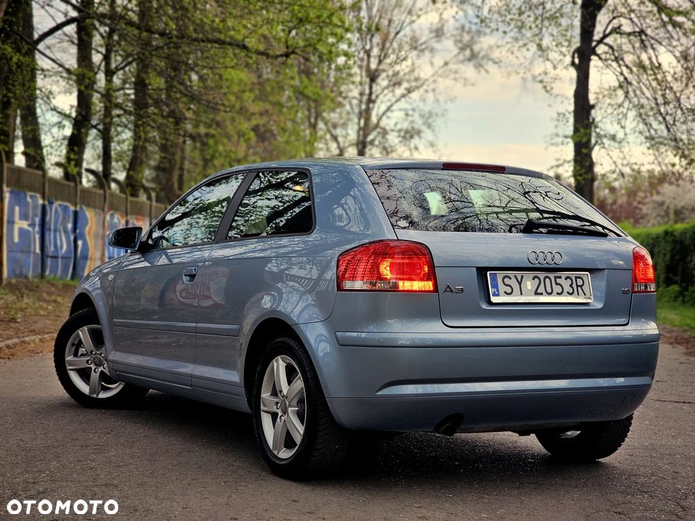 Audi A3 3-drzwiowe 1.6 Limited Edition - 28