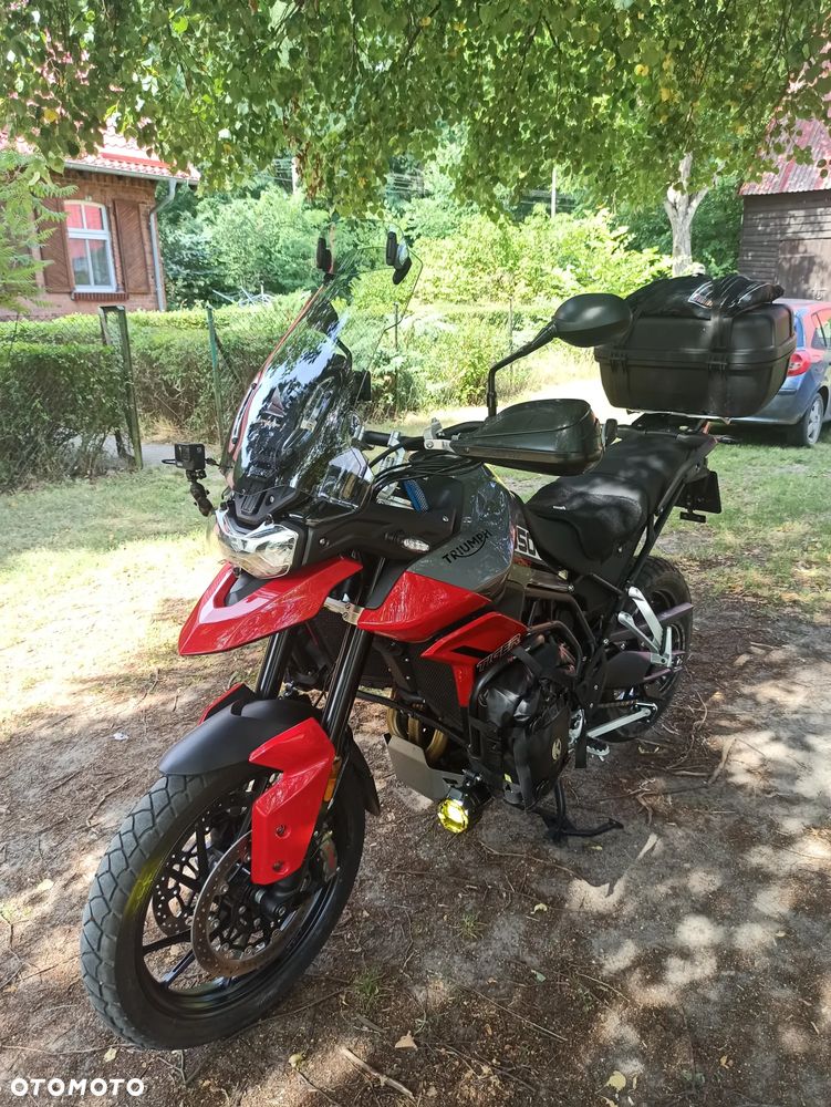 Triumph Tiger - 6