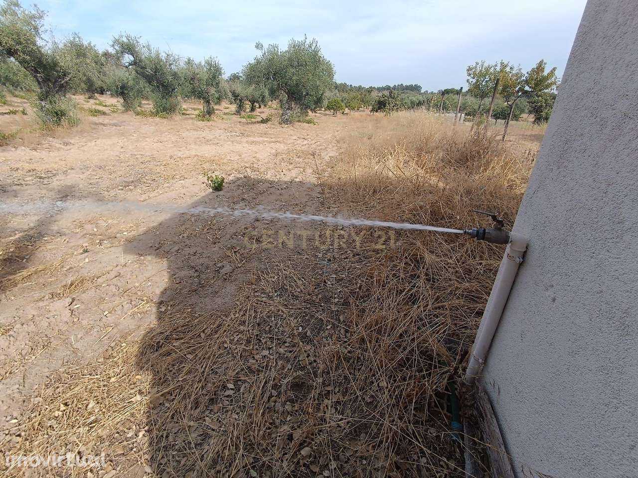 Fabuloso Terreno, Lousa, Castelo Branco - Grande imagem: 5/29