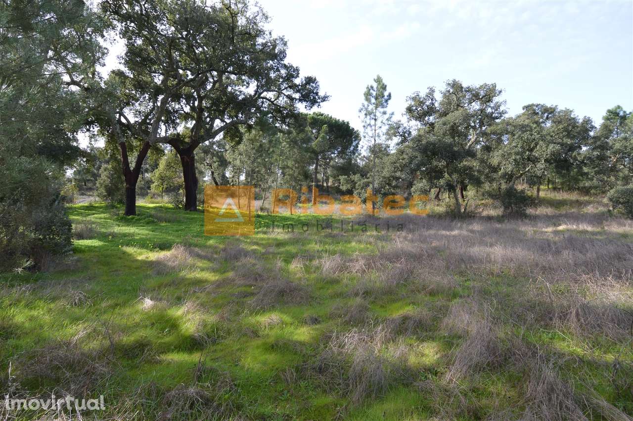 Terreno para construção no Valverde - Grande imagem: 2/13
