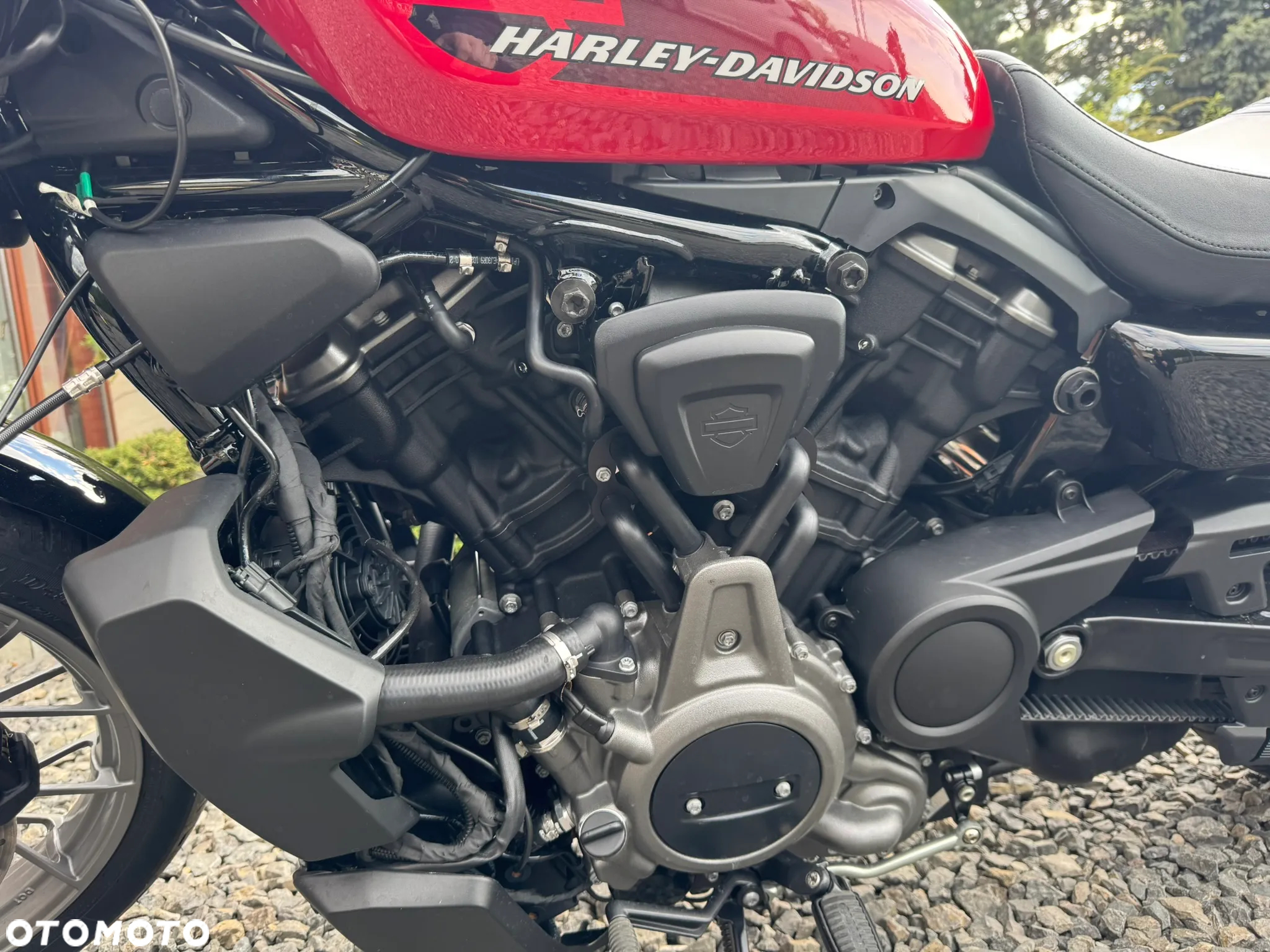 Harley-Davidson Sportster Nightster 975 - 14