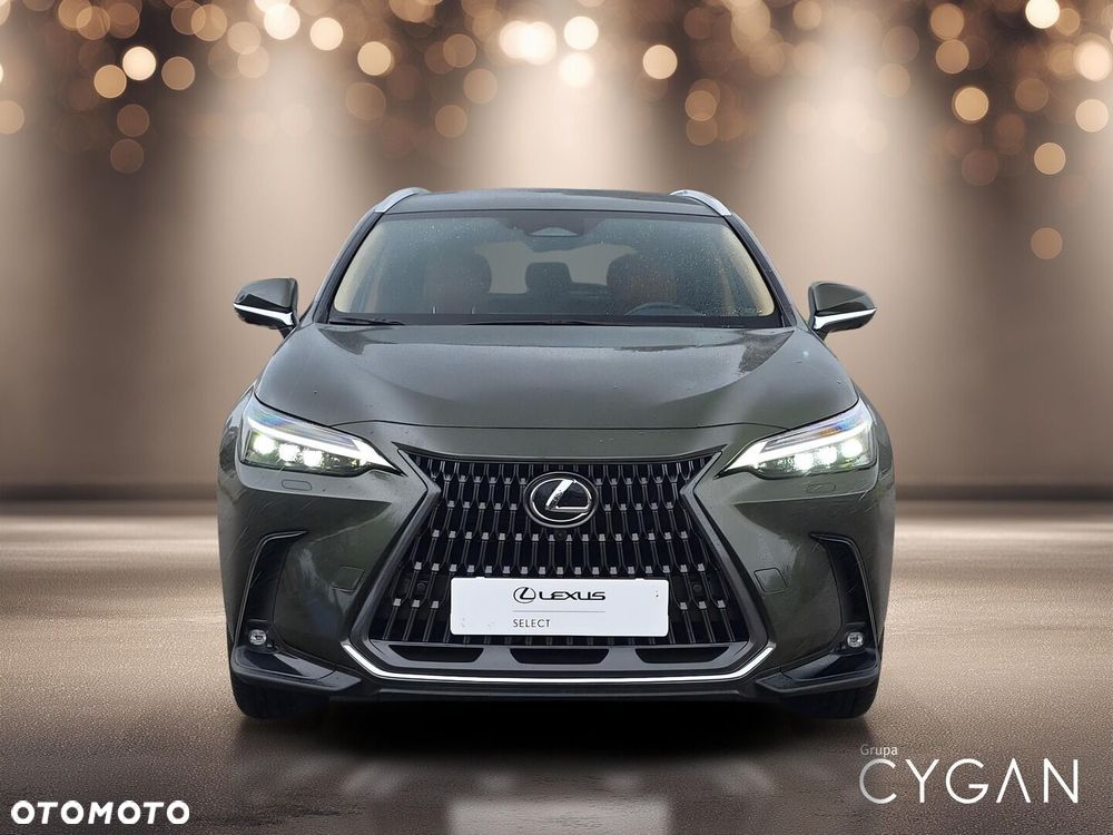 Lexus NX - 10
