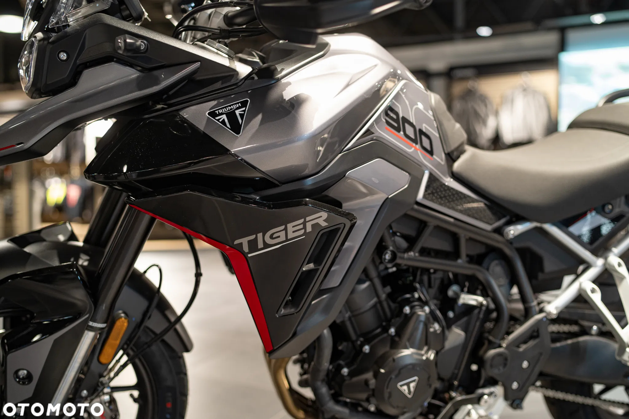 Triumph Tiger - 15