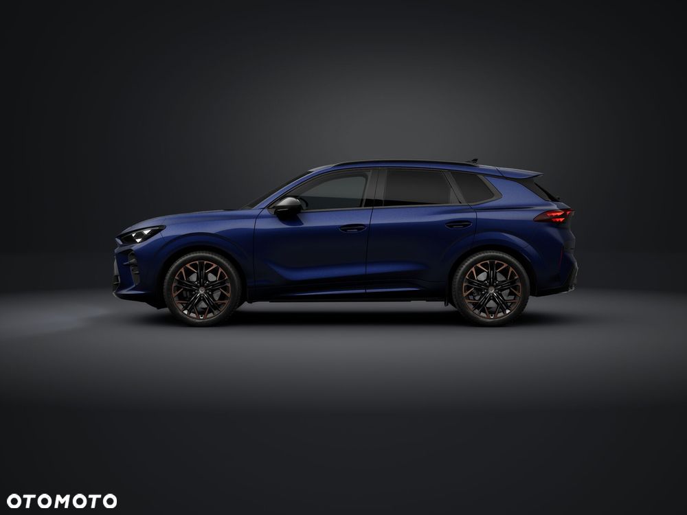 Cupra Terramar - 3
