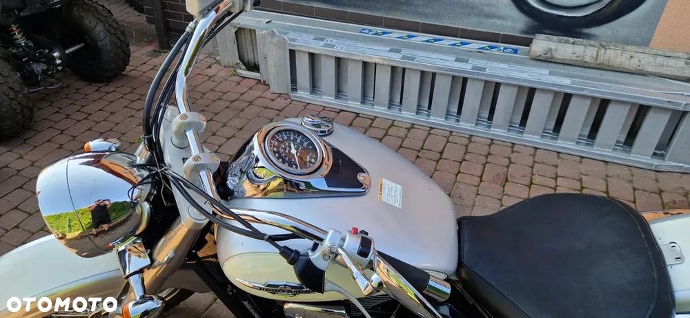 Suzuki VL 800 Volusia - Boulevard C50 - 15