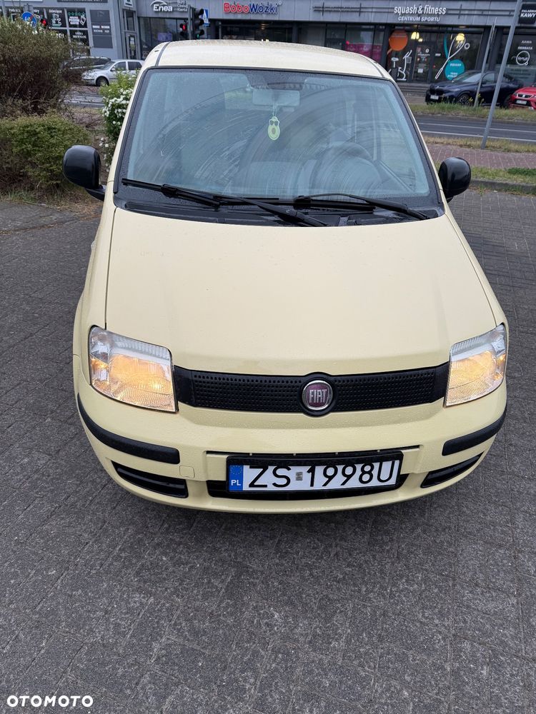 Fiat Panda - 1