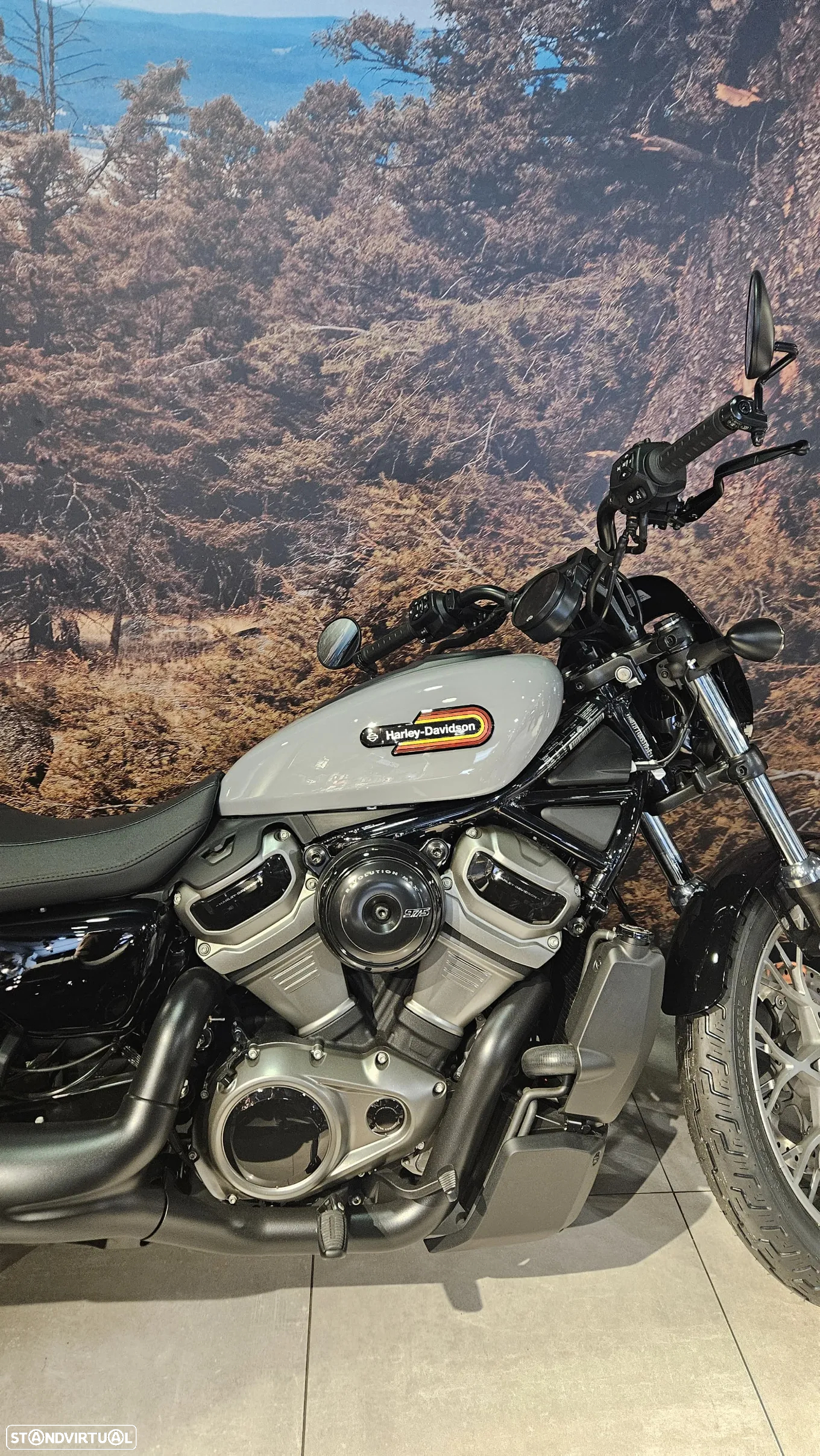 Harley-Davidson Sportster Nightster Special - 8