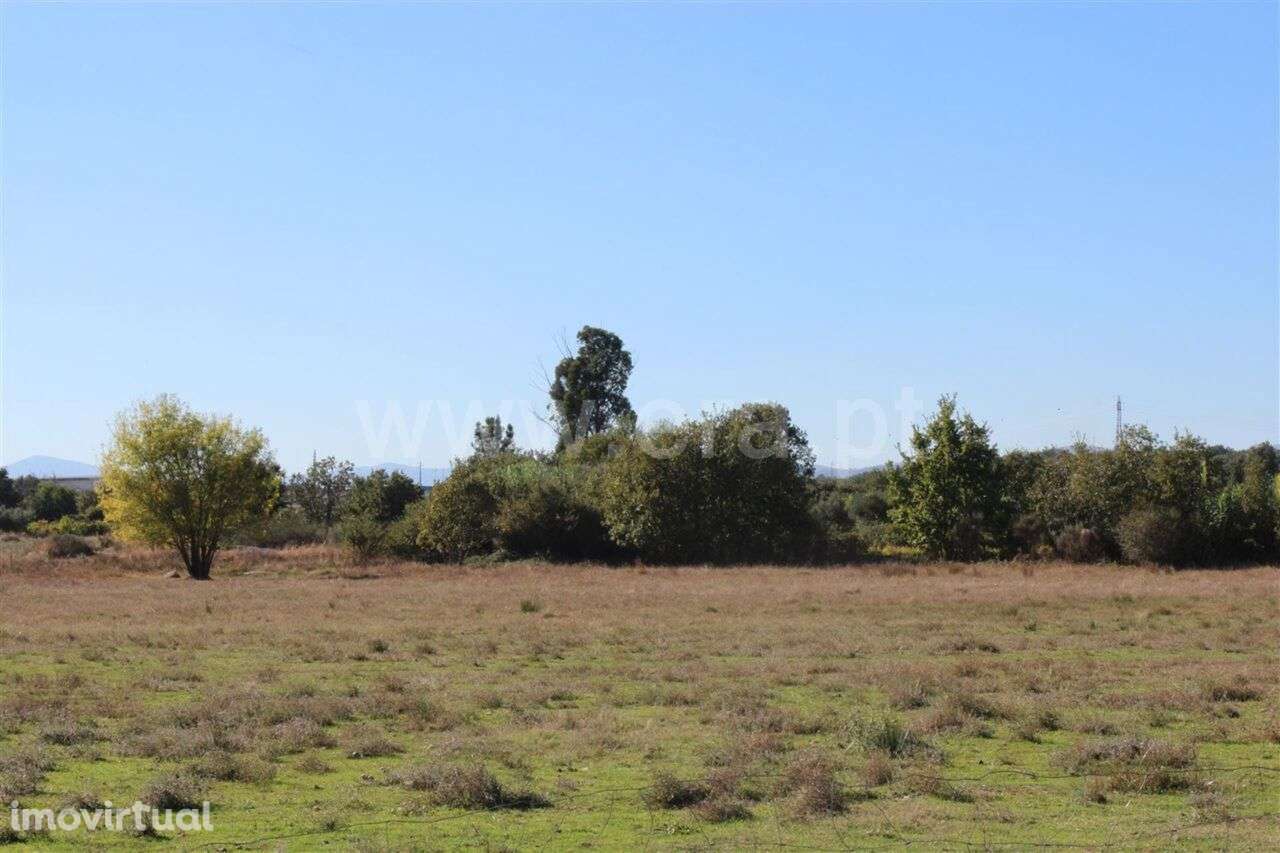 Terreno Rústico / Fundão, Valverde - Grande imagem: 2/3