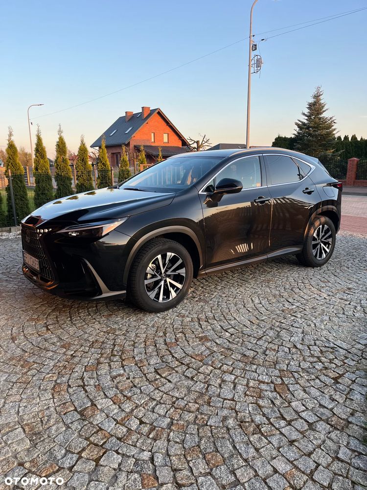 Lexus NX - 2
