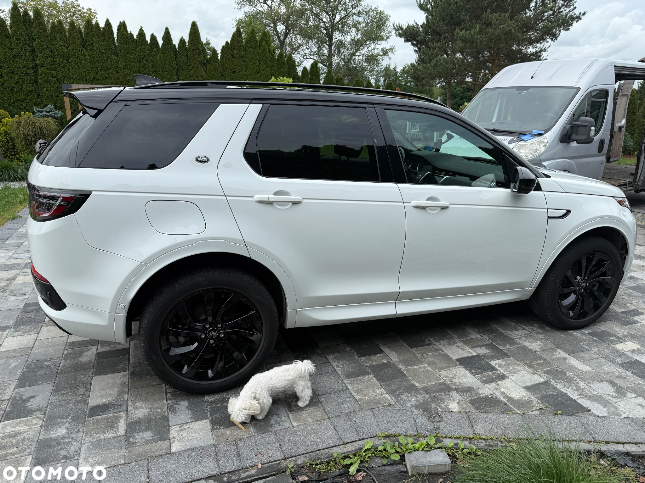 Land Rover Discovery Sport P250 R-Dynamic - 4