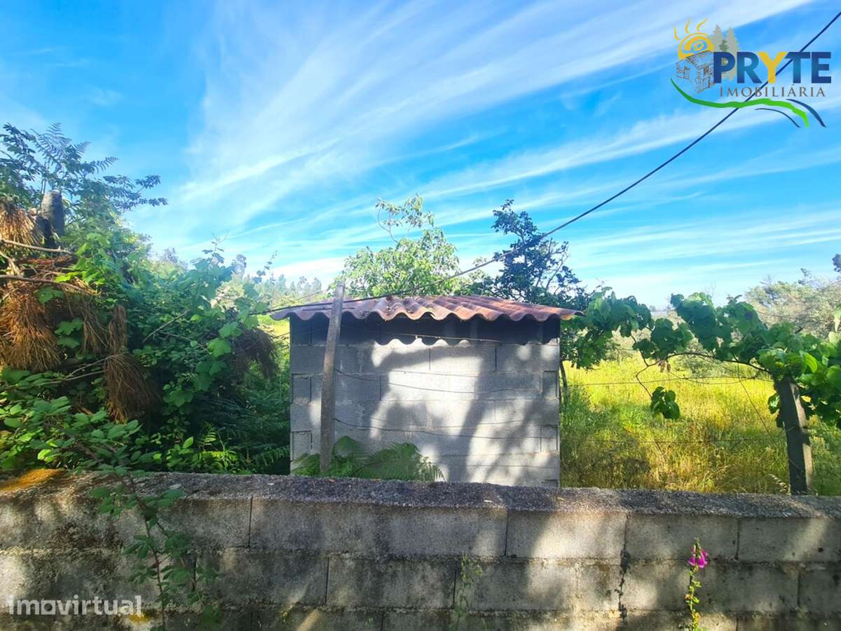 Quintinha agrícola situada Casalinho/Tapada - Grande imagem: 3/25