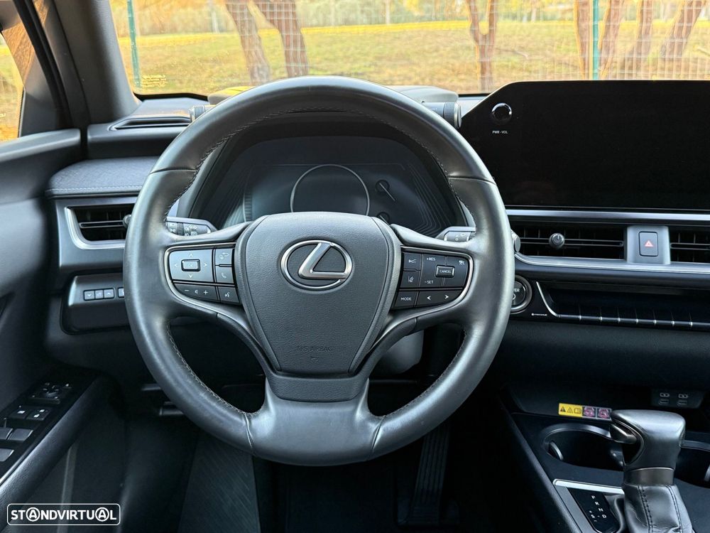 Lexus UX 250h F Sport - 39