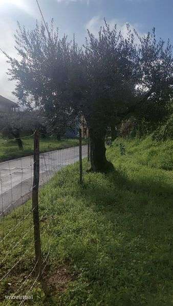Terreno de sonho. Particular - Grande imagem: 2/6