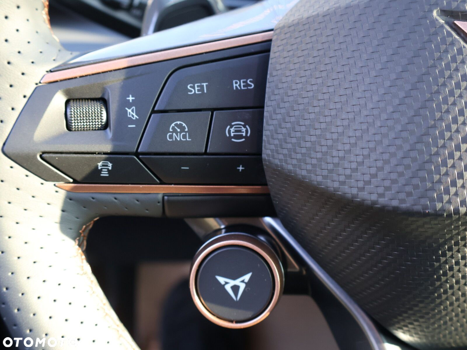 Cupra Terramar 2.0 TSI 4Drive DSG - 23