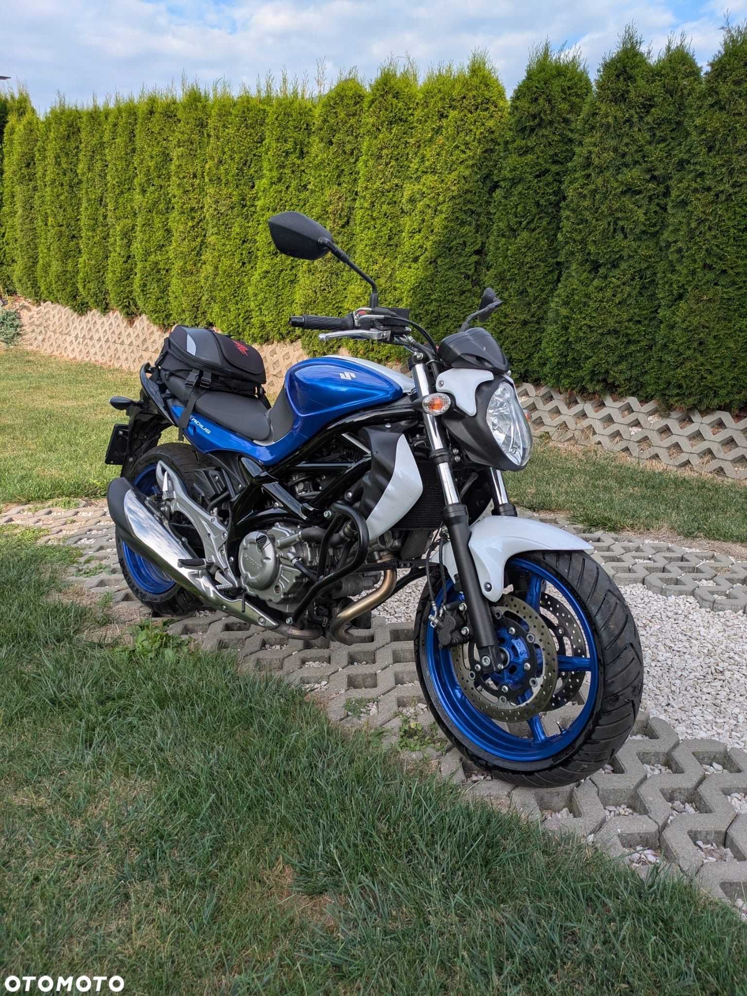 Suzuki Gladius - 1