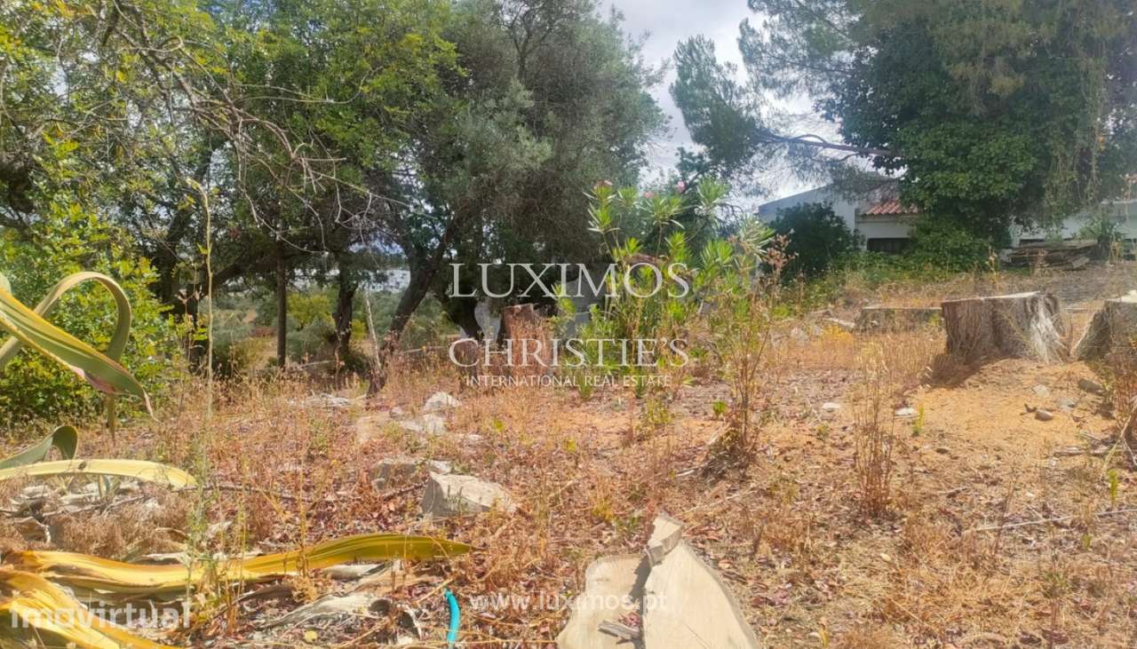 Amplo terreno loteado, para venda em São Brás de Alportel, Algarve - Grande imagem: 5/6