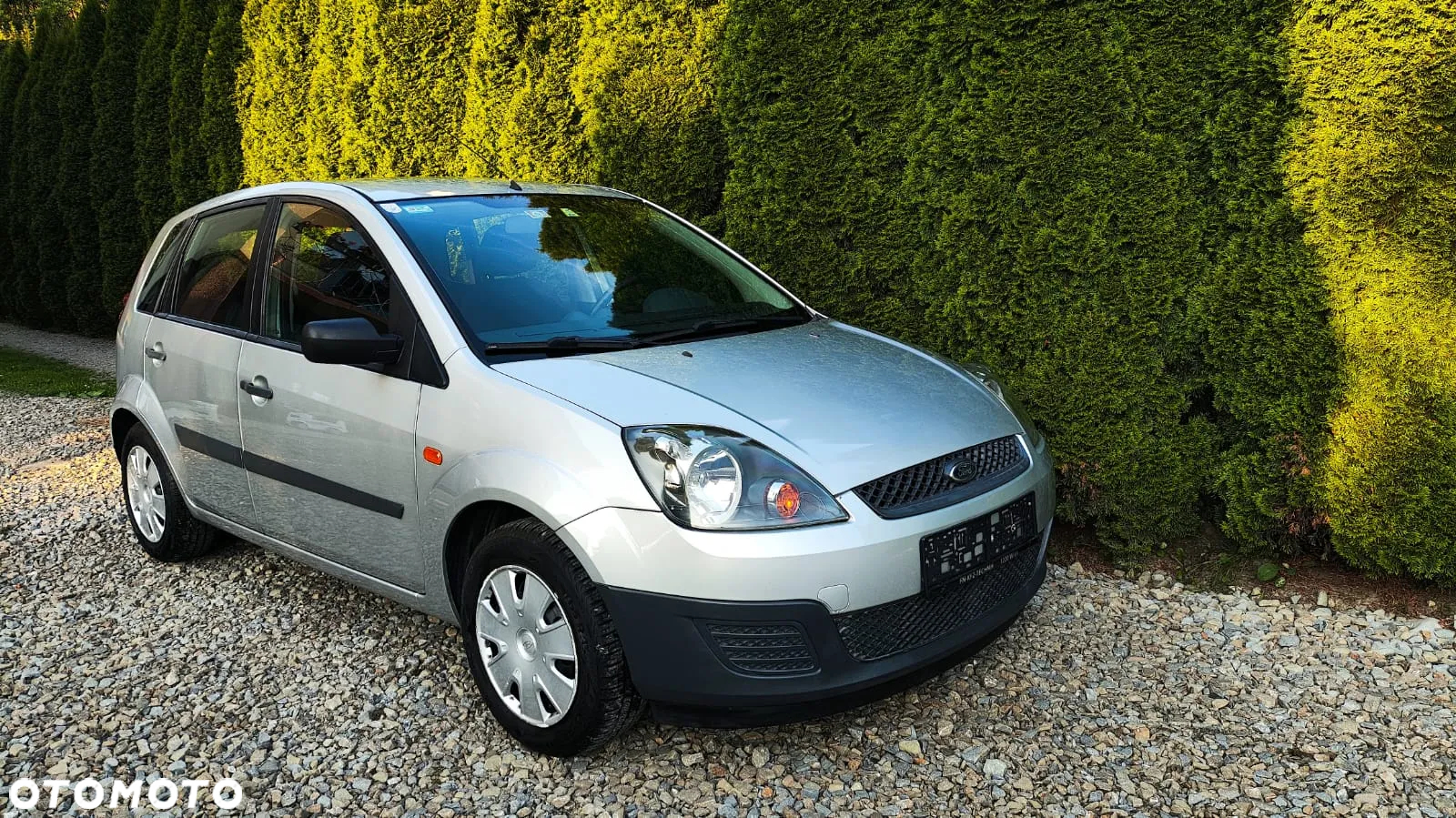 Ford Fiesta - 23