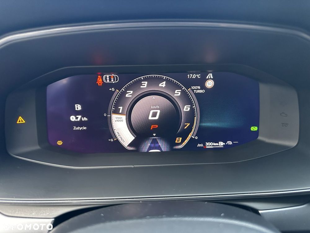 Cupra Formentor 1.5 eTSI DSG Tribe Edition - 19