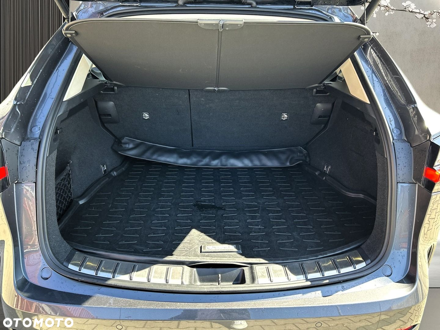 Lexus NX - 17