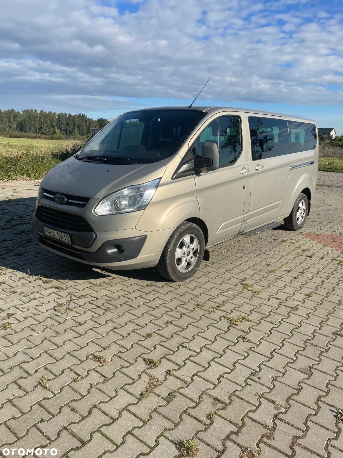 Ford Tourneo Custom - 1