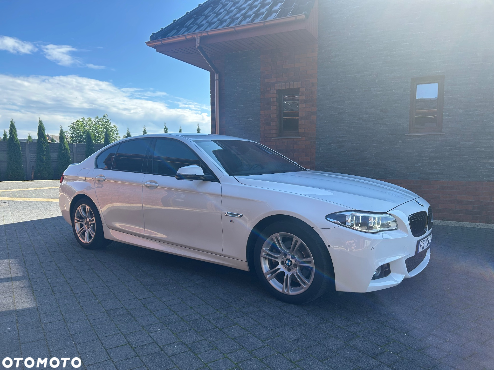 BMW Seria 5 520d xDrive - 9
