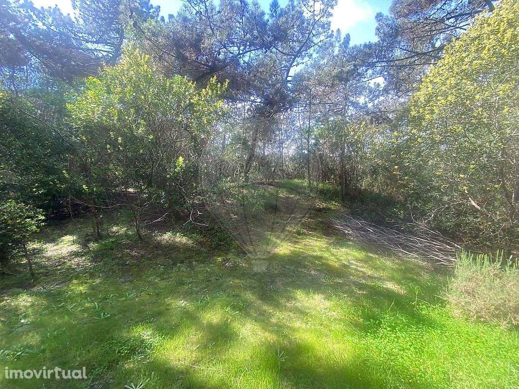 Terreno  para venda - Grande imagem: 2/17