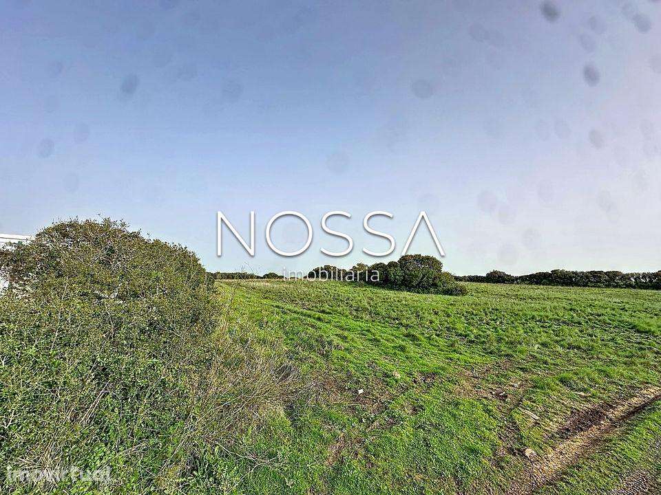 Terreno Rústico nas Raposeiras - Grande imagem: 4/30