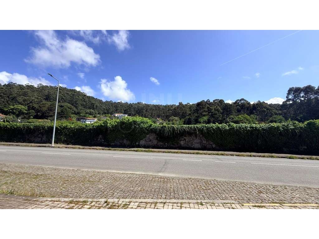 Terreno para construção em Areosa, Viana do Castelo - Grande imagem: 3/3