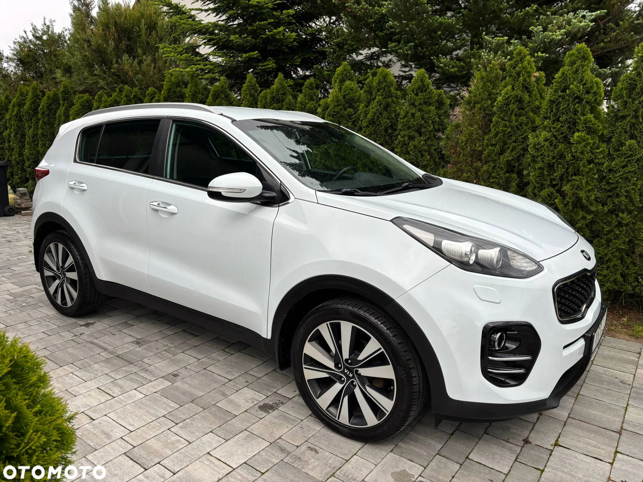 Kia Sportage 1.7 CRDI 2WD ISG Vision - 17