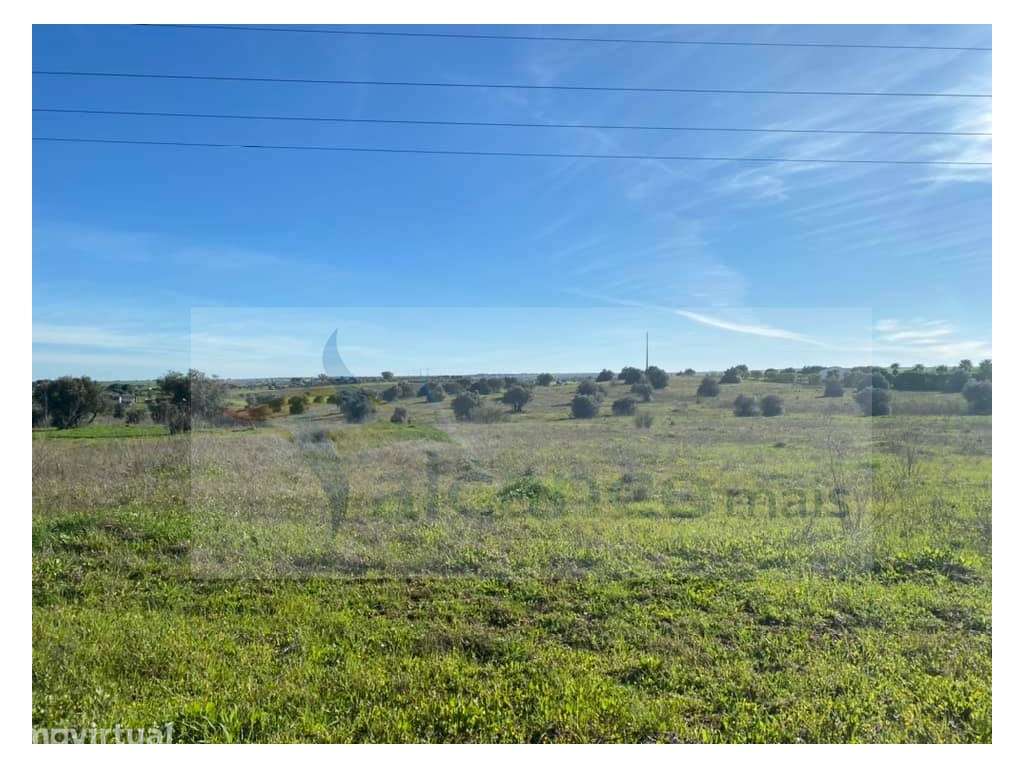 Herdade com 18 Hectares para Venda - próximo à cidade de Beja - Grande imagem: 3/18